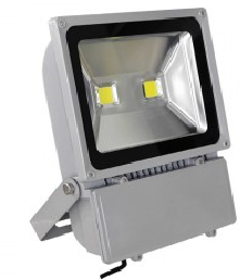 LED Flood Light 100W.